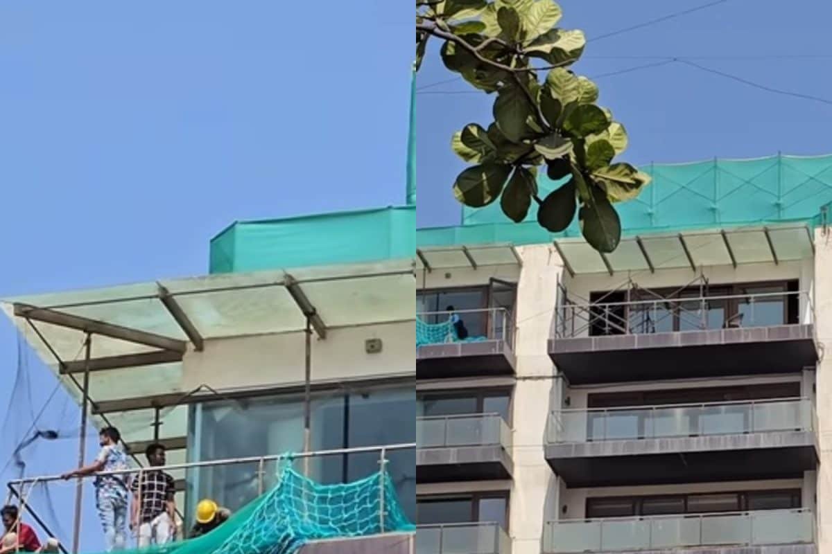 Shah Rukh Khans House Mannat Undergoes Renovation, New Video Goes Viral | Watch
