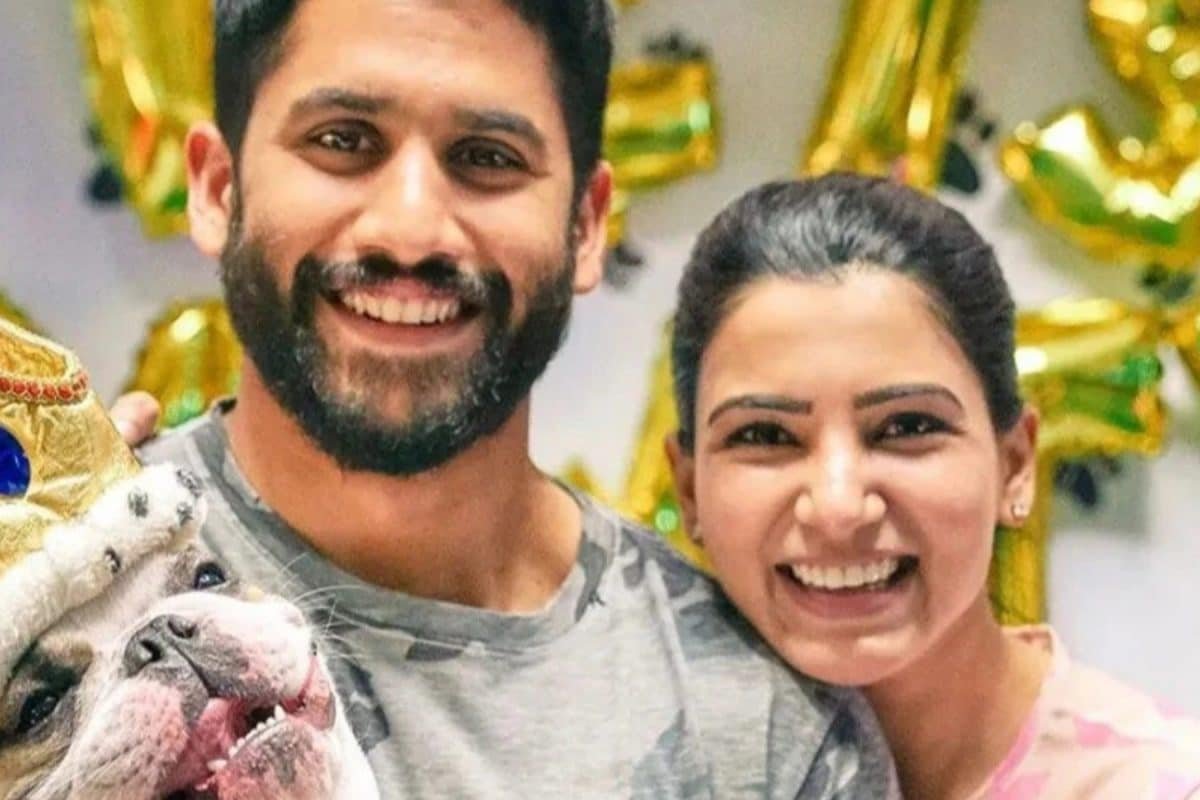 Samantha Ruth Prabhu, Naga Chaitanya Co-Parent Their Fur Baby After Divorce? Know Here