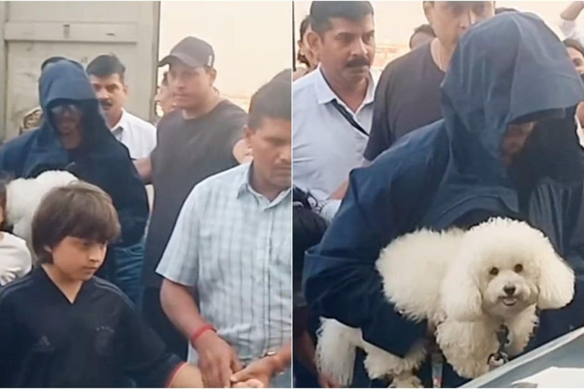 Shah Rukh Khan Holds His Pet Dog As He Returns To Mumbai With Gauri Khan, AbRam Khan | Watch
