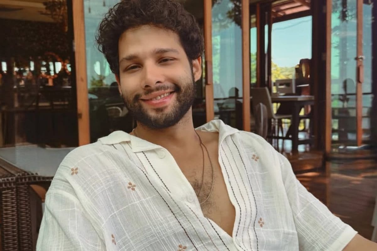 Siddhant Chaturvedi Birthday: Actors Journey, Top Movies And Upcoming Projects