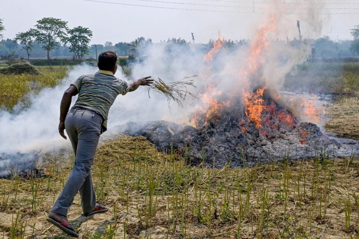 Vedanta Says Talwandi Sabo Powers Biomass Facility Helps Reduce Stubble Burning In Punjab