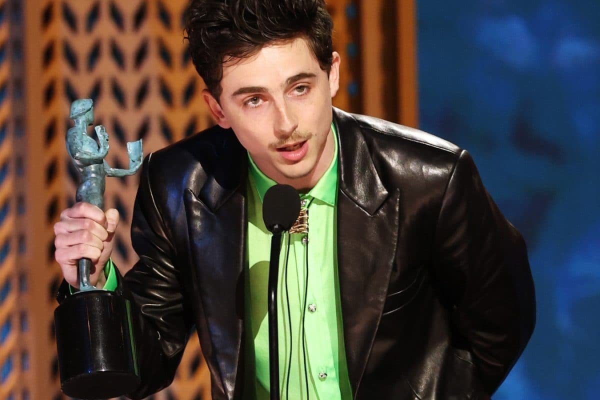 Timothee Chalamet To Be Honoured At David di Donatello AKA The Italian Oscars