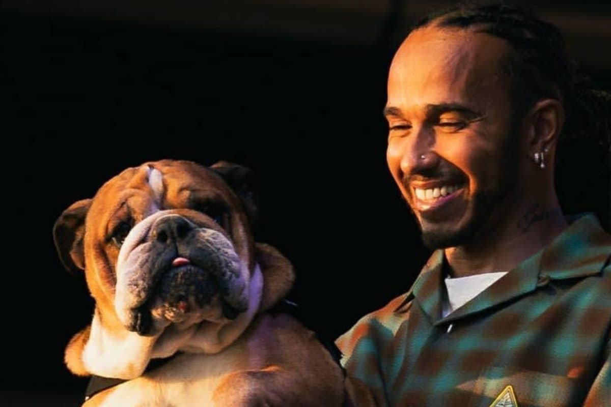 Scary Few Hours: Lewis Hamiltons Pet Roscoe Hospitalised, Ferrari Driver Calls For Prayers And Thoughts