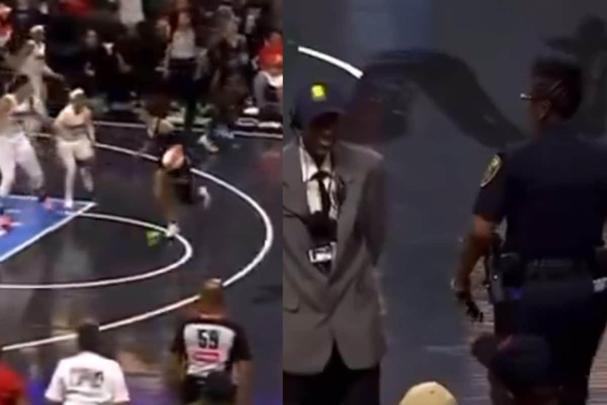 Meme Crypto Group Claims Responsibility For Sex Toys Tossed At WNBA Games