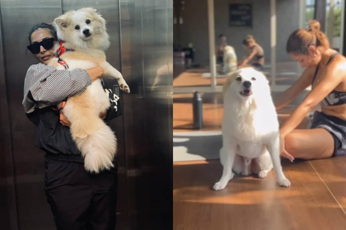 Malaika Arora Celebrates Her Pet Dog Caspers Birthday With Aww-Dorable Video, Calls Him Most Handsome