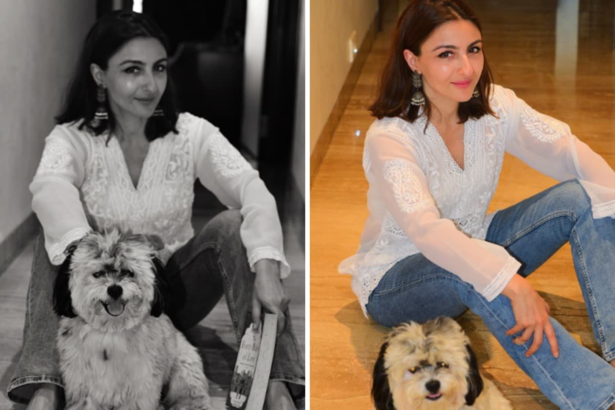Pup-arazzi Alert: Soha Ali Khan’s Furry Friend Is Ready For The Camera