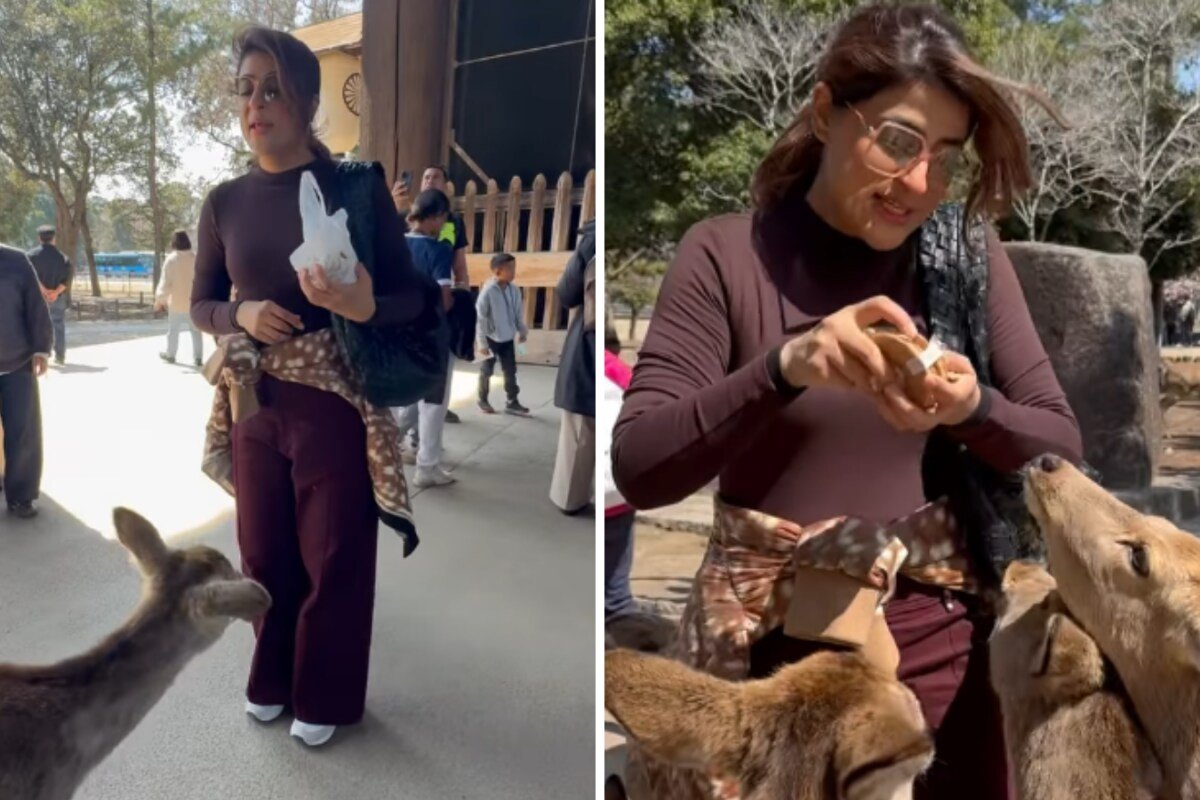 Tahira Kashyap Cant Get Enough Of This Deer Who Bow Down In Gratitude For The Biscuit It Gets