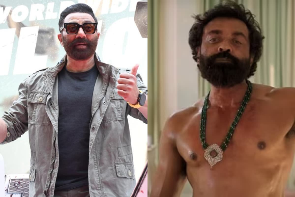 Sunny Deol Reveals He Would Love To Work In A Film Like Animal If Producers Have The Guts To Cast Him