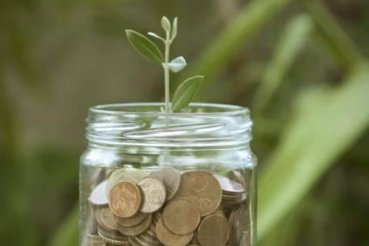 NFO Alert: Motilal Oswal Unveils Special Situations Equity Fund; What It Means