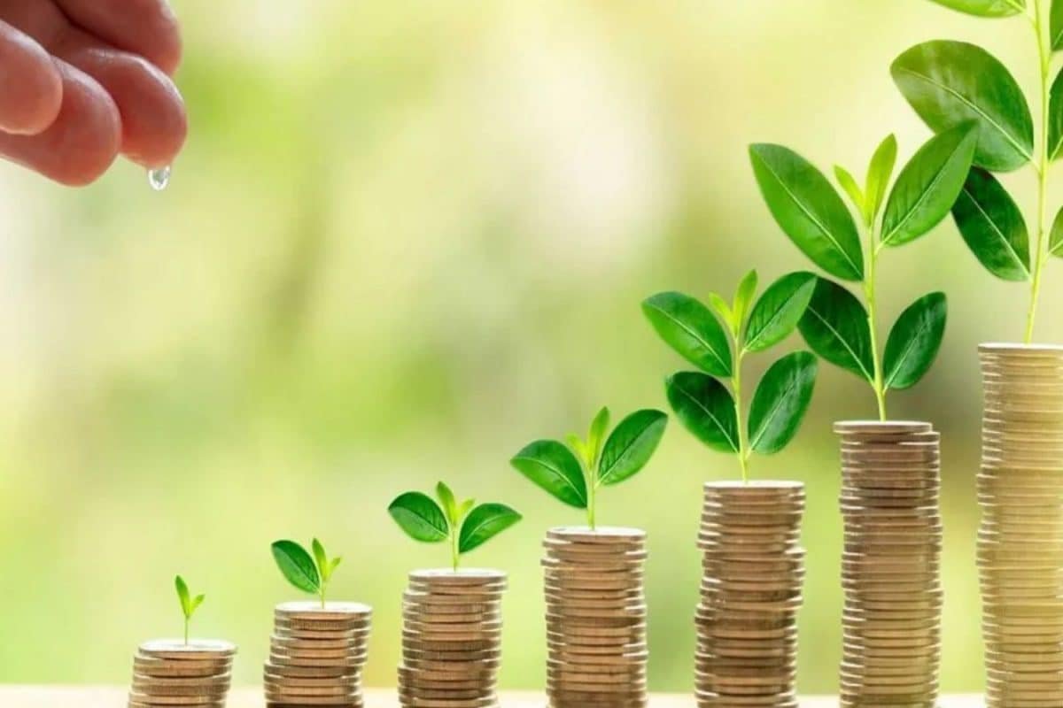 What Is ELSS? A Complete Guide To Equity-Linked Savings Schemes