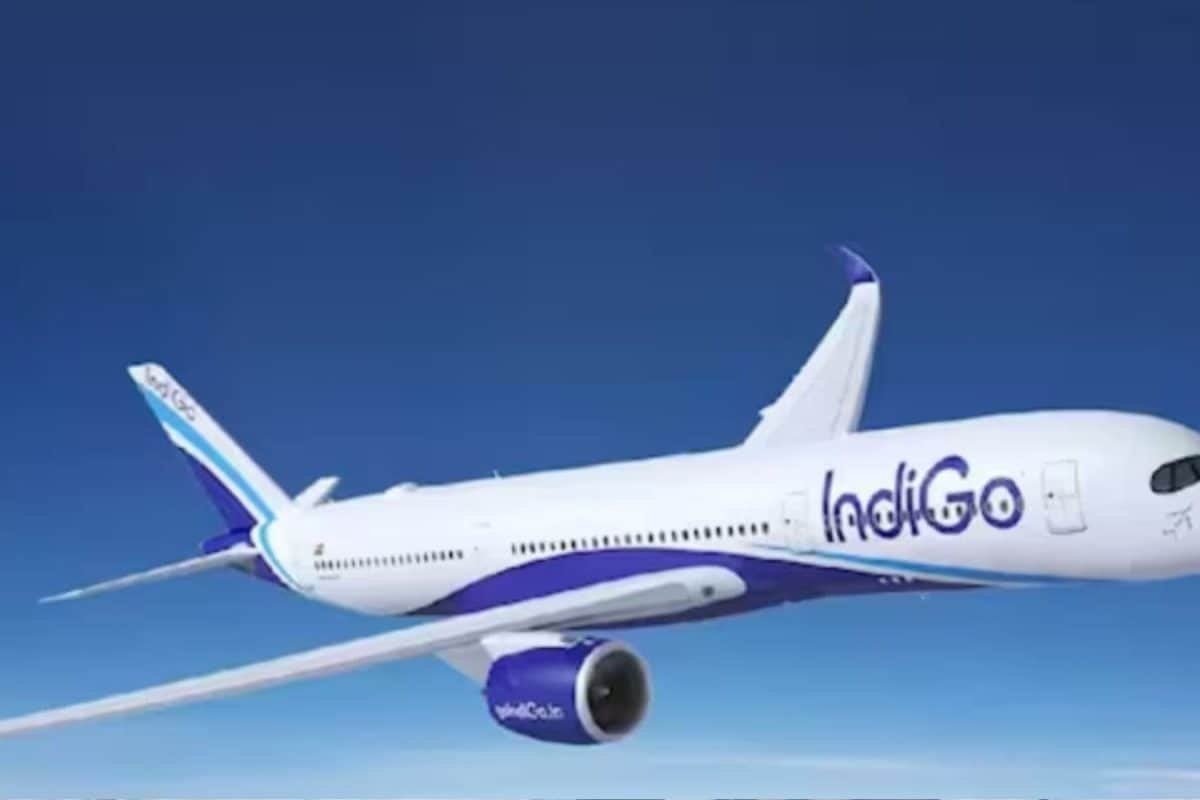 Flight Disruptions At IndiGo? Your Credit Card Or OTA Booking Might Cover You; Heres How