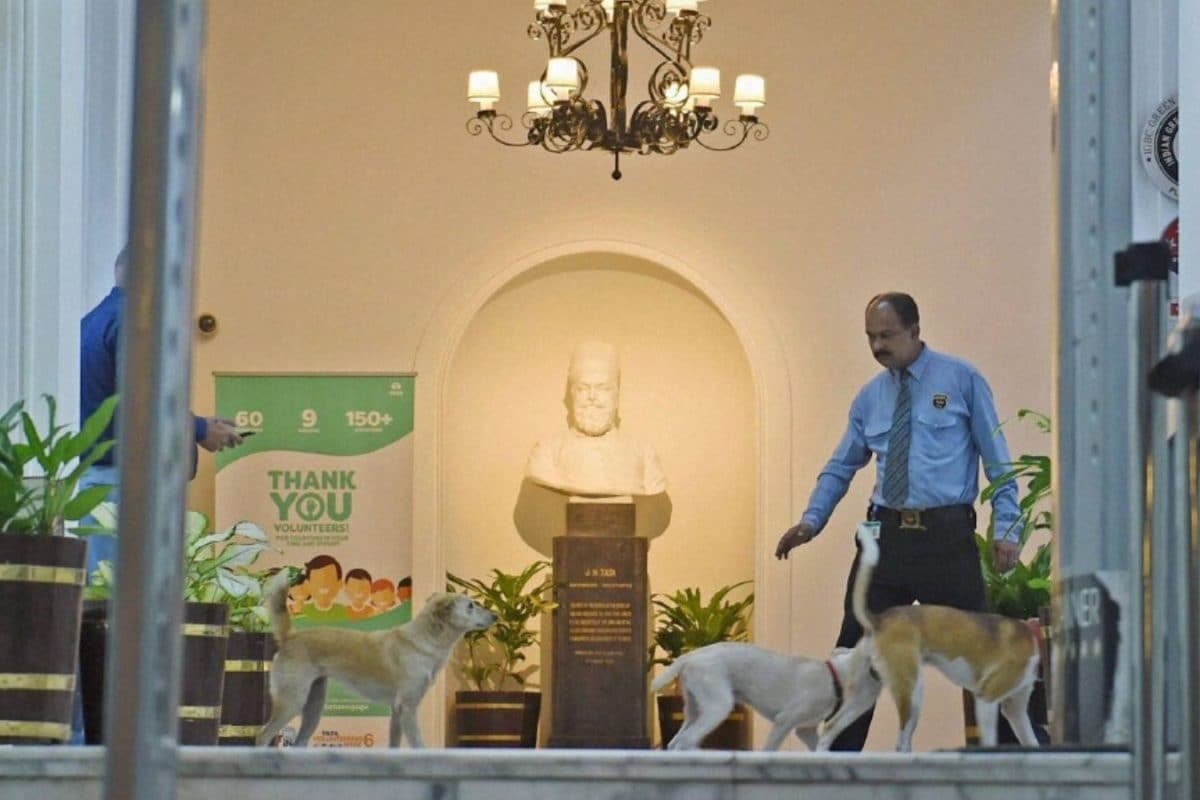 Bombay House: How A 1924 Building Became Tata Groups HQ, And A Shelter For Stray Dogs