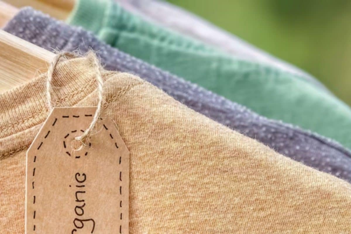 Indias Port Curbs On Bangladesh Garments To Boost Indian Textiles Business By Rs 2,000 Crore