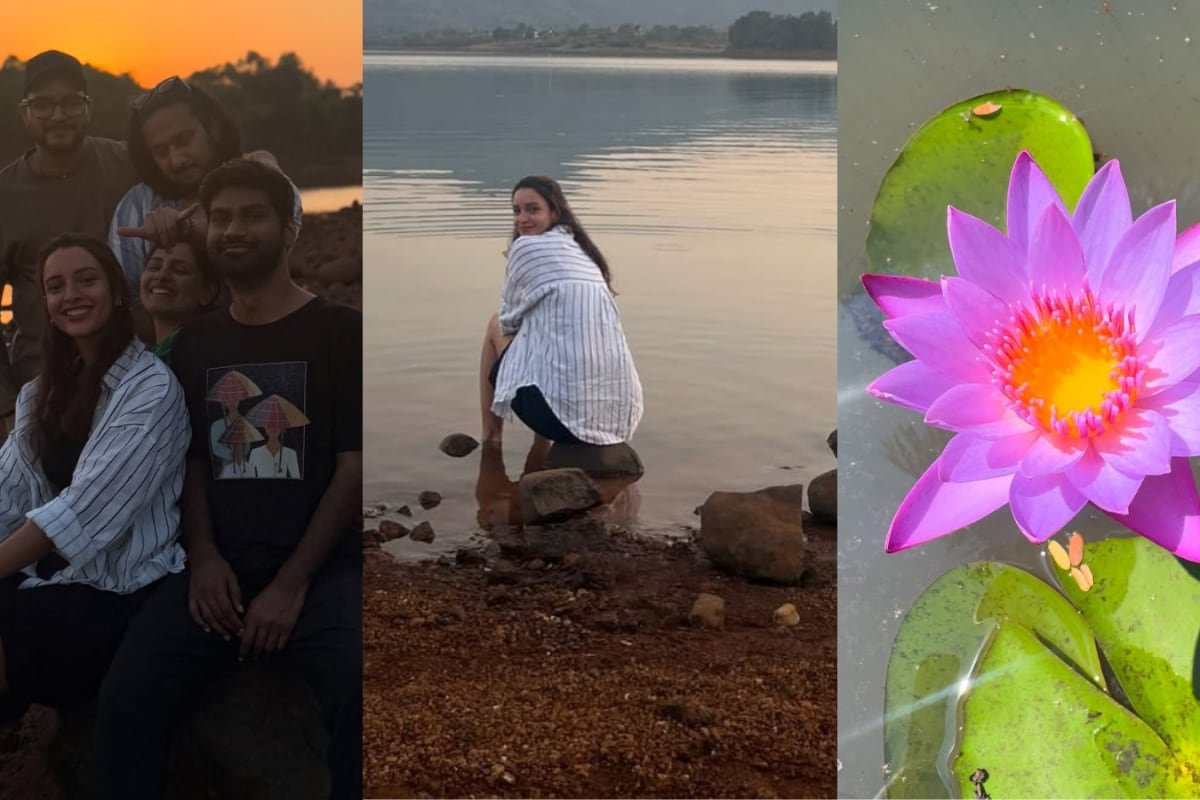 Cakes, Flowers And Giggles! Triptii Dimri Celebrates Her 31st Birthday In Natures Lap