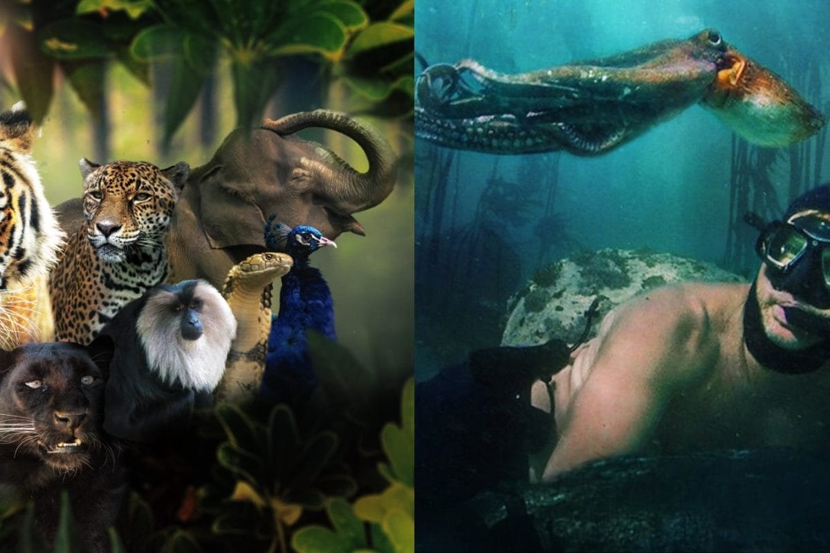6 Wildlife Documentaries Perfect For Your Kids To Watch On OTT