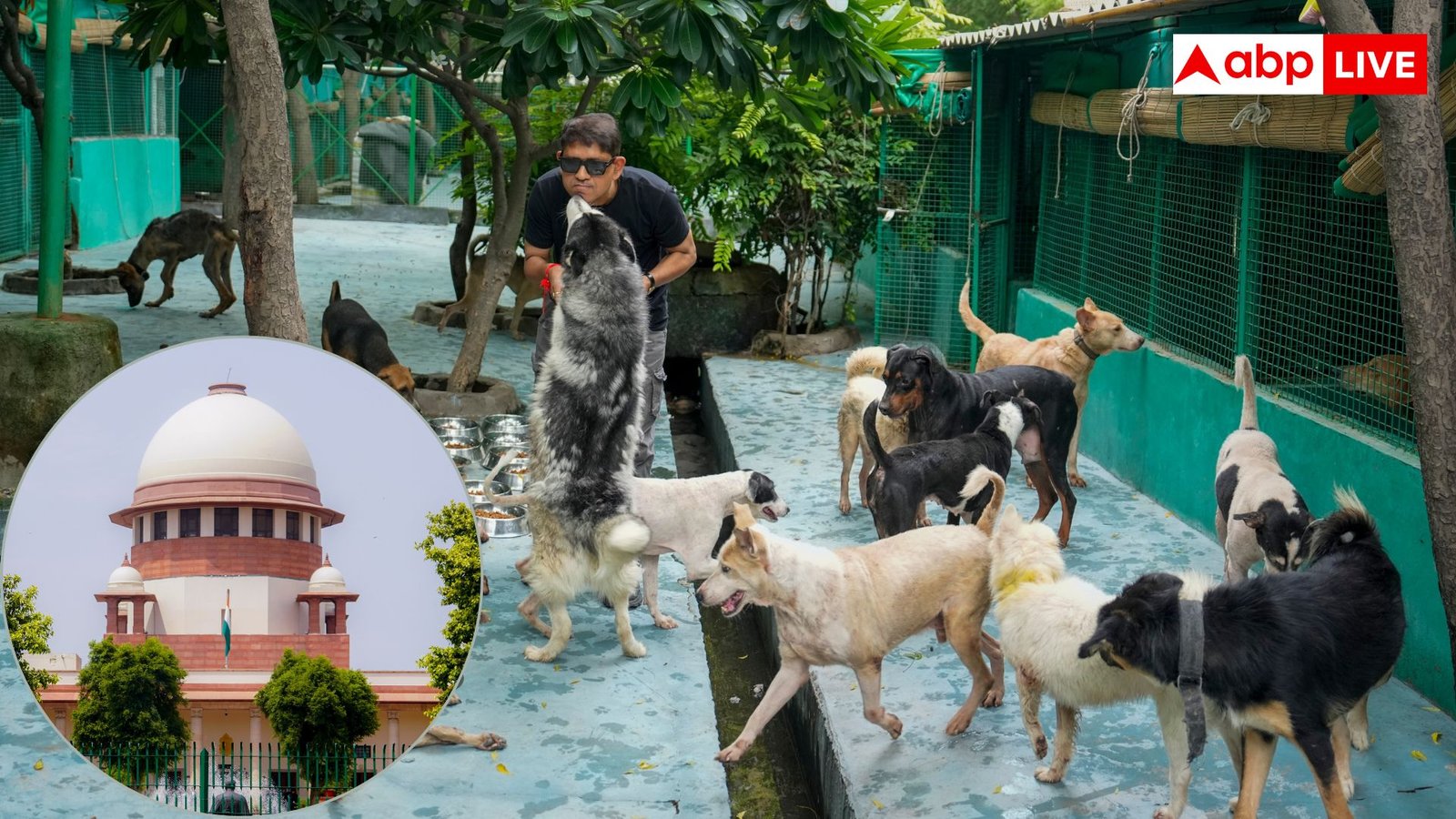 रेबीज के मरीज को क्यों लगने लगता है पानी से डर, क्या है इसका कारण?