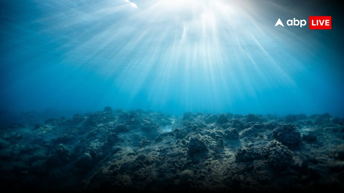 Indonesia News: समंदर की गहराई में छिपी थी 1.4 लाख पुरानी दुनिया! वैज्ञानिकों ने कर दिया चमत्कार, ढूंढ निकाली