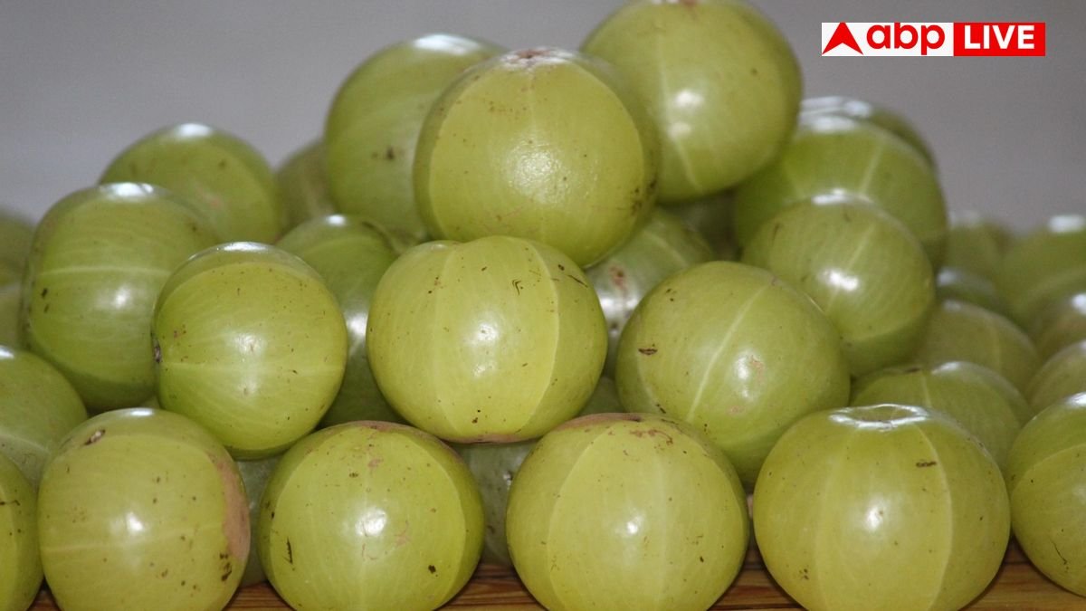 इन 6 लोगों को भूलकर भी नहीं खाना चाहिए आंवला, फायदे की जगह कर देगा इतना ज्यादा नुकसान
