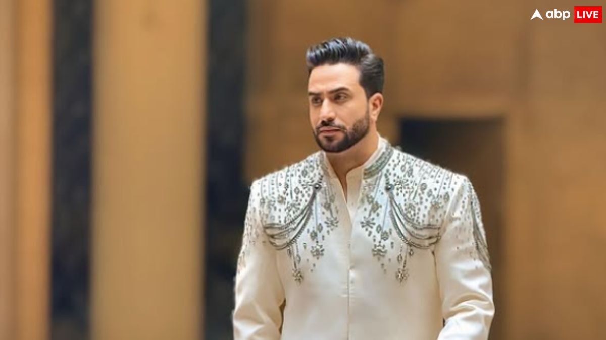 भारत-पाक संघर्ष विराम को लेकर Aly Goni ने किया था पोस्ट, सोशल मीडिया पर मिली नफरत, बोले- मुझे कोई फर्क नहीं पड़ता