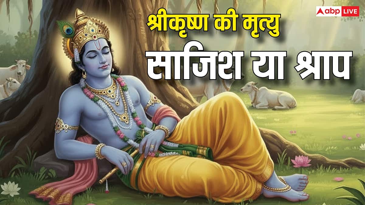 Shri Krishna: भगवान कृष्ण की मृत्यु कैसे हुई, साजिश या श्राप क्या थी असली वजह