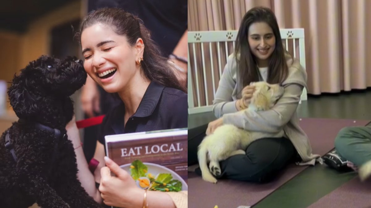 मुंबई में लक्जरी पेट सैलून चलाती हैं सानिया चंडोक, कुत्ते नहलाने के कितने पैसे लगते हैं वहां, जानिए