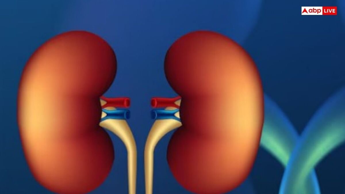हर दिन की ये 6 आदतें, कमजोर कर रही है आपकी किडनी