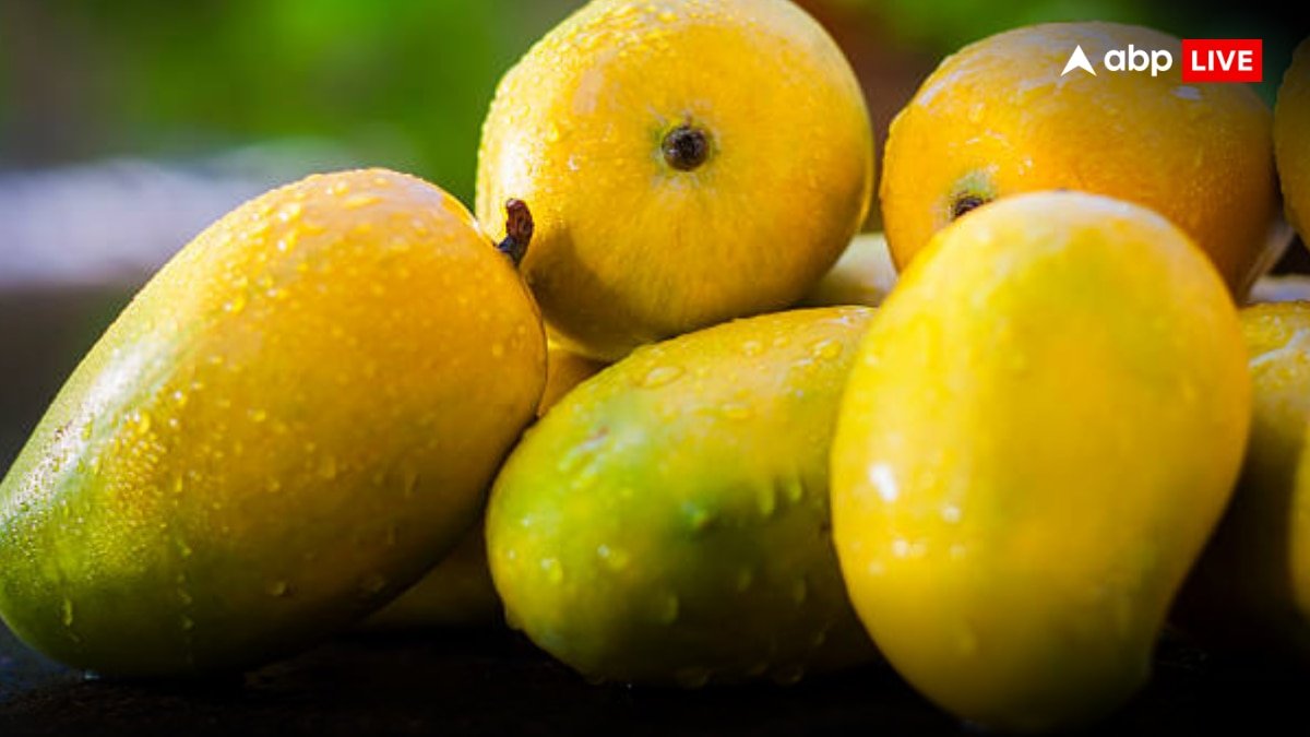 US-India Trade: अमेरिका ने ठुकराए भारत के आम! खड़े रह गए 15 जहाज, हो गया करोड़ों का नुकसान