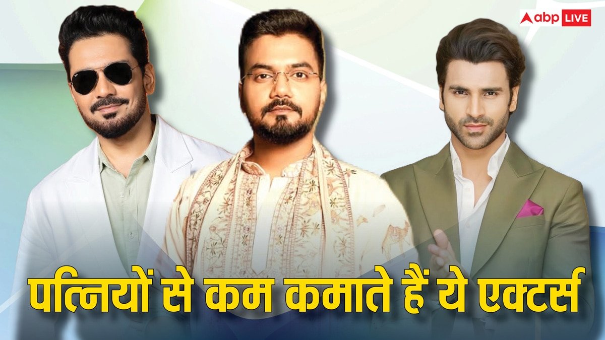 अपनी पत्नियों से बेहद कम कमाते हैं ये टीवी एक्टर्स, नेटवर्थ भी है कम, लिस्ट में बड़े दिग्गजों का नाम है