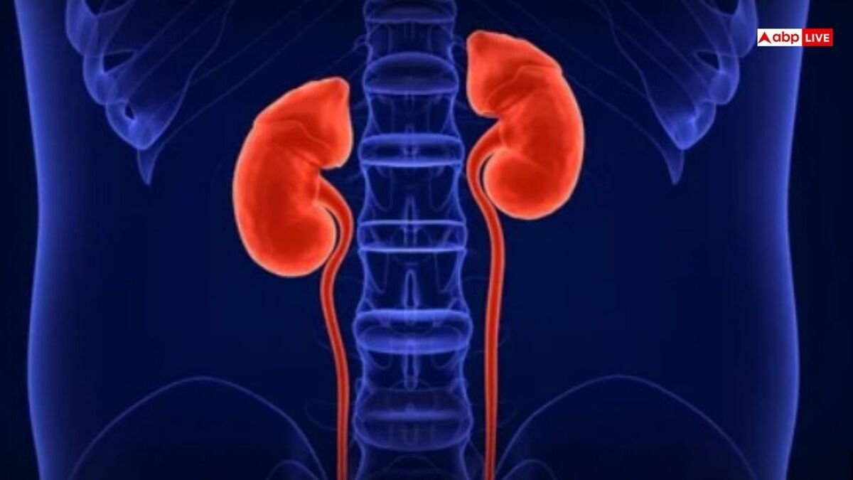 किडनी खराब होने पर पैरों के आसपास दिखाई देते हैं ये लक्षण, संकेत दिखते ही जाएं डॉक्टर के पास