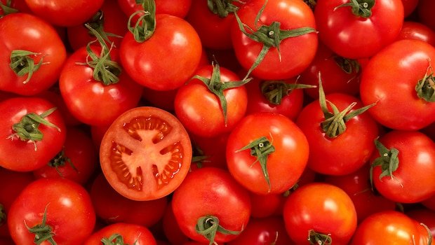 Desi vs Hybrid Tomatoes: What Are The Key Differences?