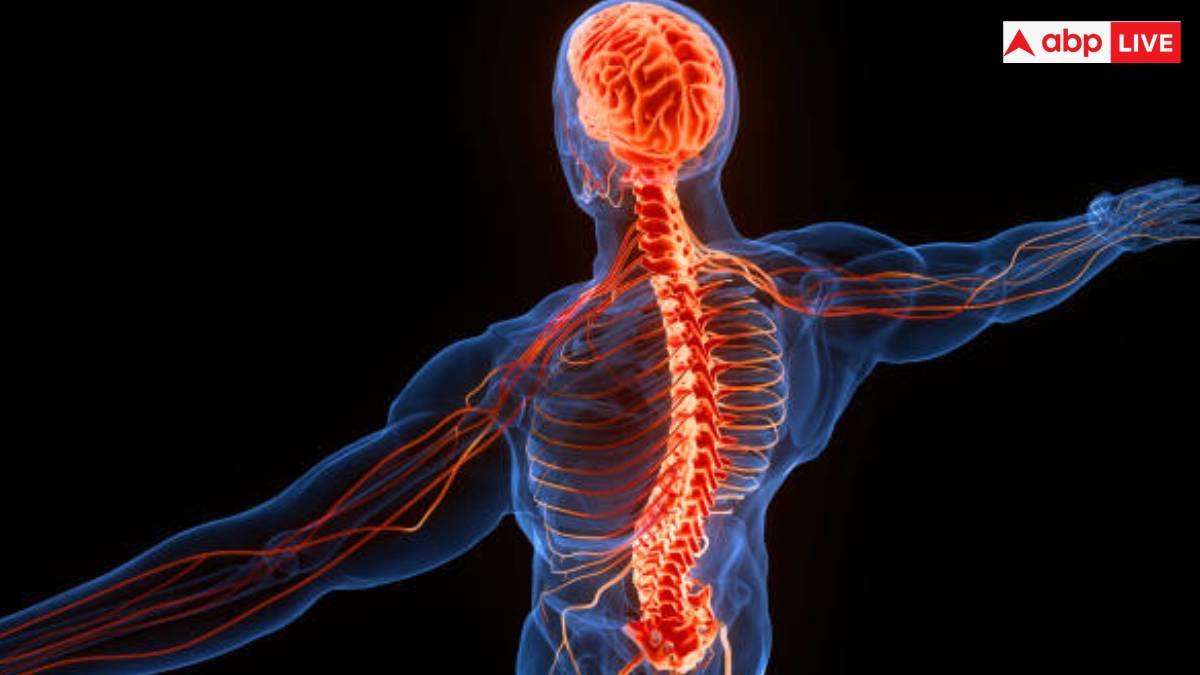 इस्केमिक अटैक आने से पहले शरीर पर दिखाई देते हैं लक्षण, इन संकेतों को ऐसे पहचानें