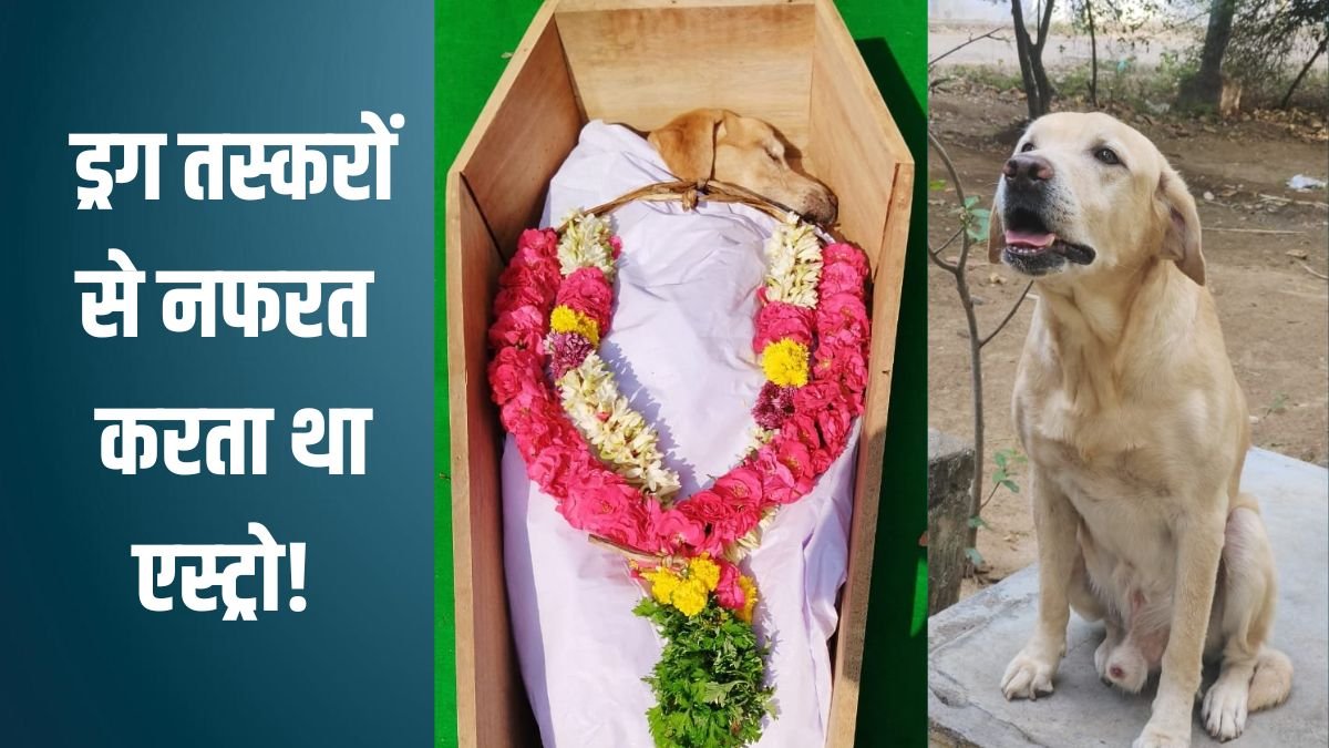 तमिलनाडु के इस DSP से थर-थर कांपते थे ड्रग माफिया, दूर से ही सूंघ लेता था हर खतरा! पुलिस ने दी 21 तोपों की सलामी