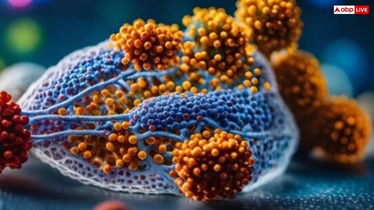 Nipah Virus: केरल में दूसरी मौत से मचा हड़कंप, मंडरा रहा निपाह वायरस का खतरा