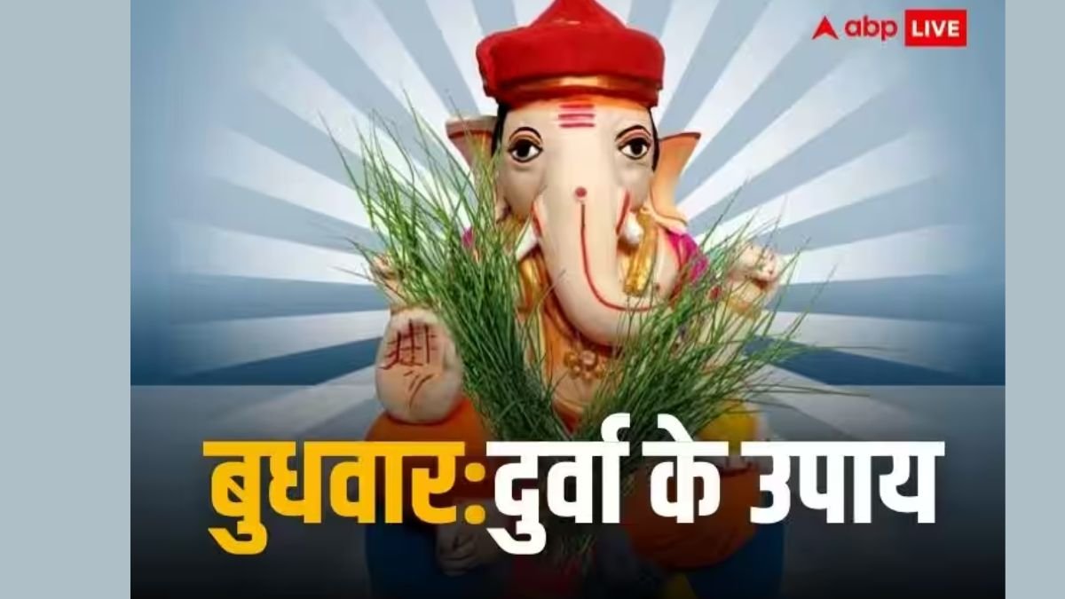 व्यापार में तरक्की और भाग्य में वृद्धि के लिए बुधवार को दुर्वा से जुड़ा कर लें ये उपाय! गणेश जी कृपा से भर जाएगी तिजोरी
