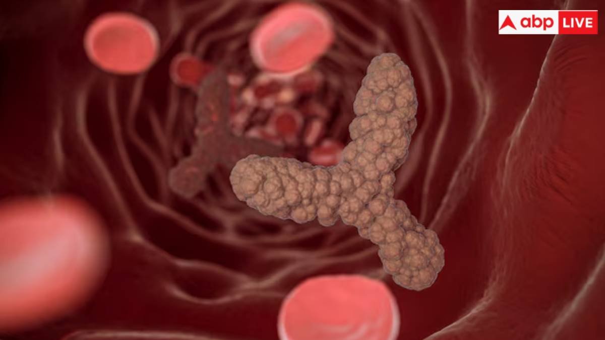 एक दिन में कितना कोलेस्ट्रॉल शरीर के लिए होता है अच्छा? जानें क्या कहते हैं हेल्थ एक्सपर्ट