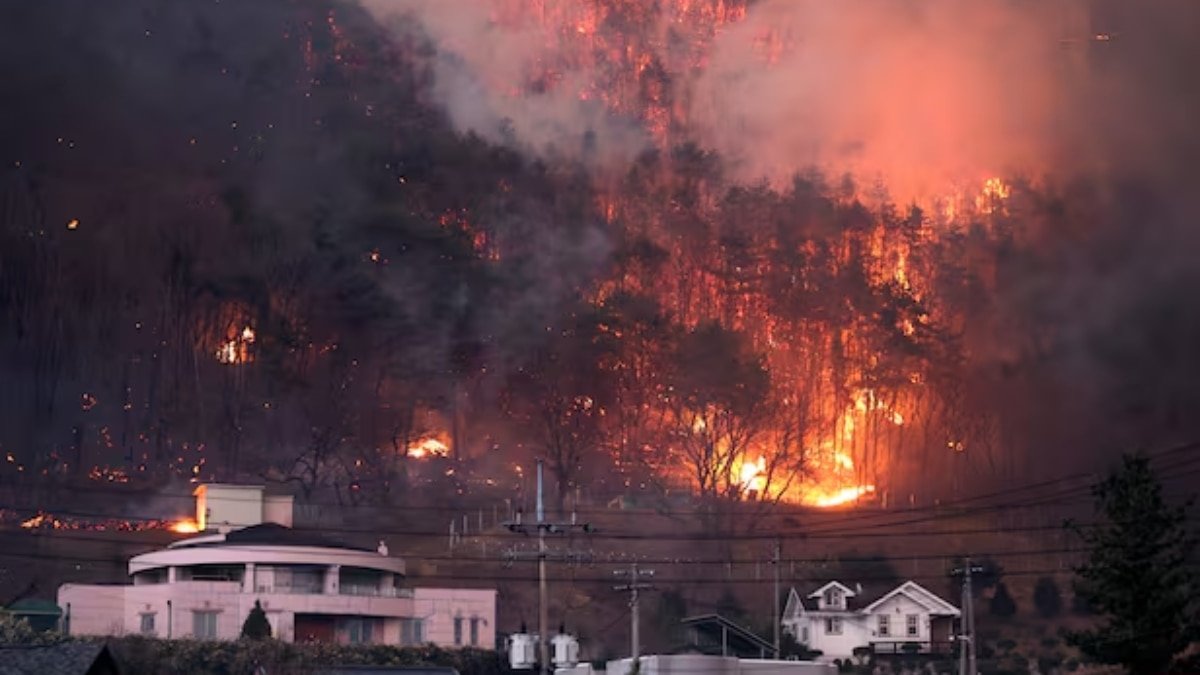 South Korea Fire: जंगल में आग ने मचाई तबाही, 18 लोगों की हुई मौत, 9000 दमकल कर्मी आग बुझाने में लगे