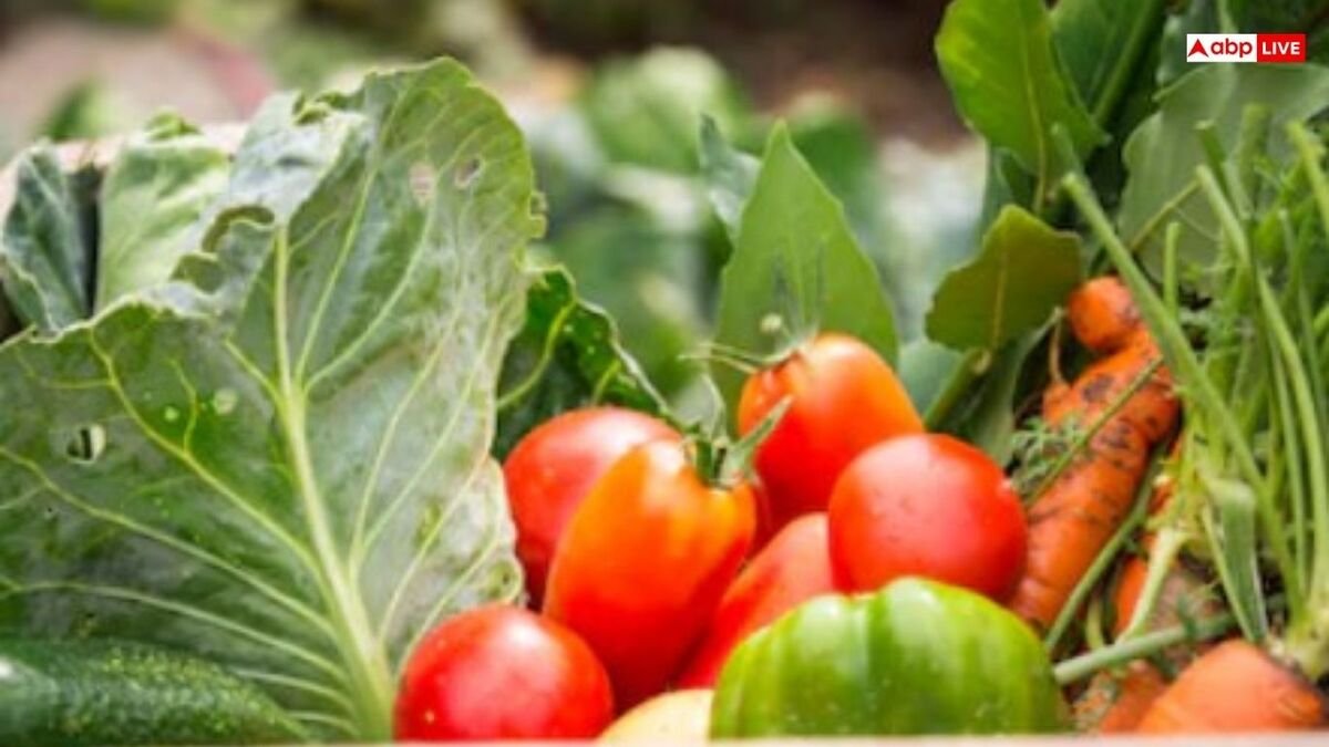 मॉनसून की शुरुआत होते ही दिल्ली में 150% तक उछले सब्जियों के दाम, लाल हुआ टमाटर, जानें वजह