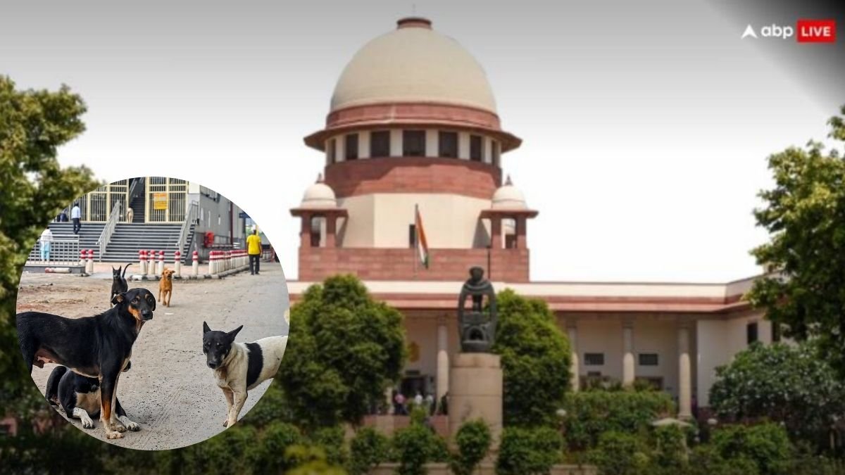 शेल्टर होम में नहीं रख सकते, जहां से उठाया, वहीं छोड़ें, आवारा कुत्तों के मामले पर सुप्रीम कोर्ट का बड़ा फैसला