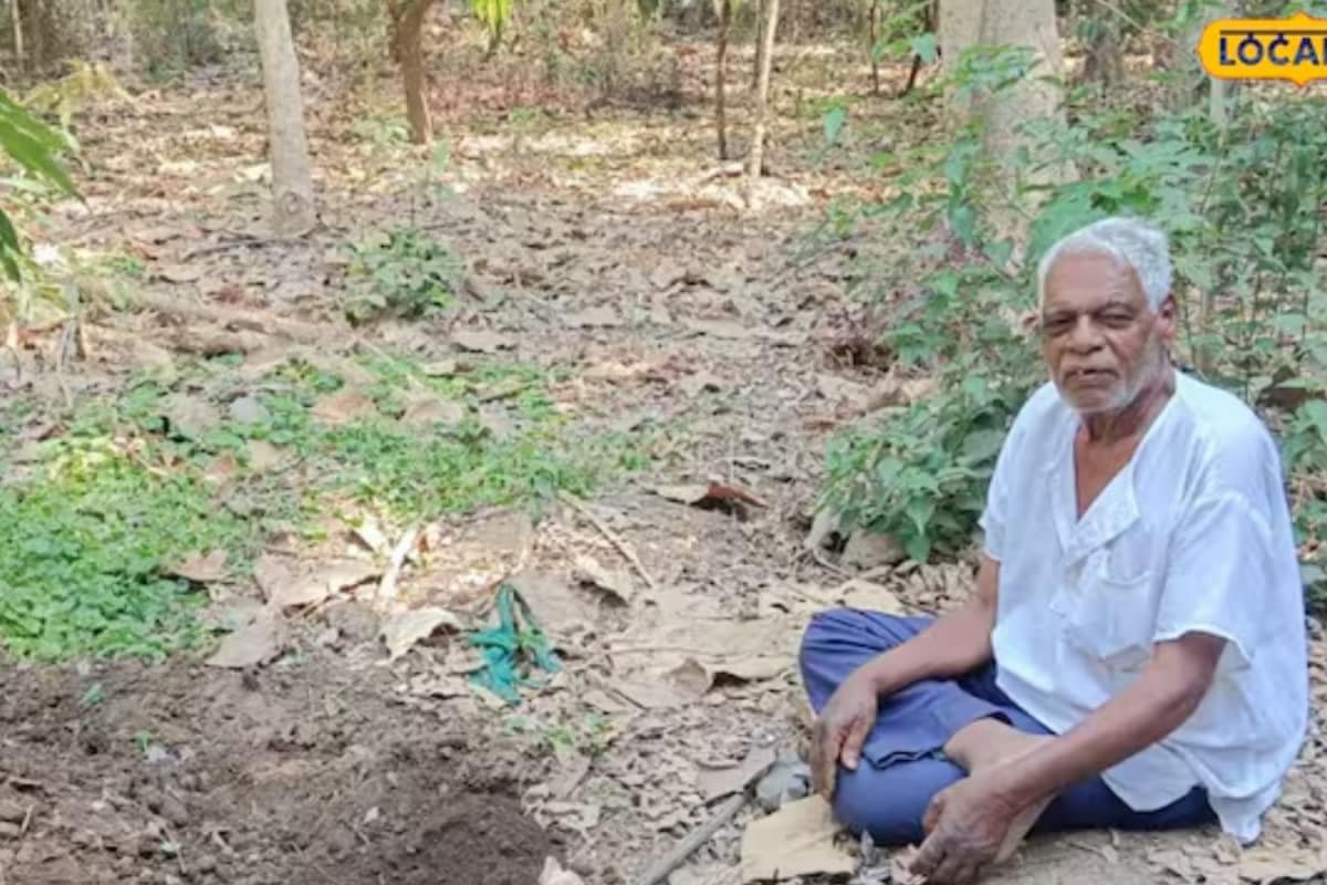 Retired Gujarat Teacher Made Rs 16 Lakh By Selling This Tree
