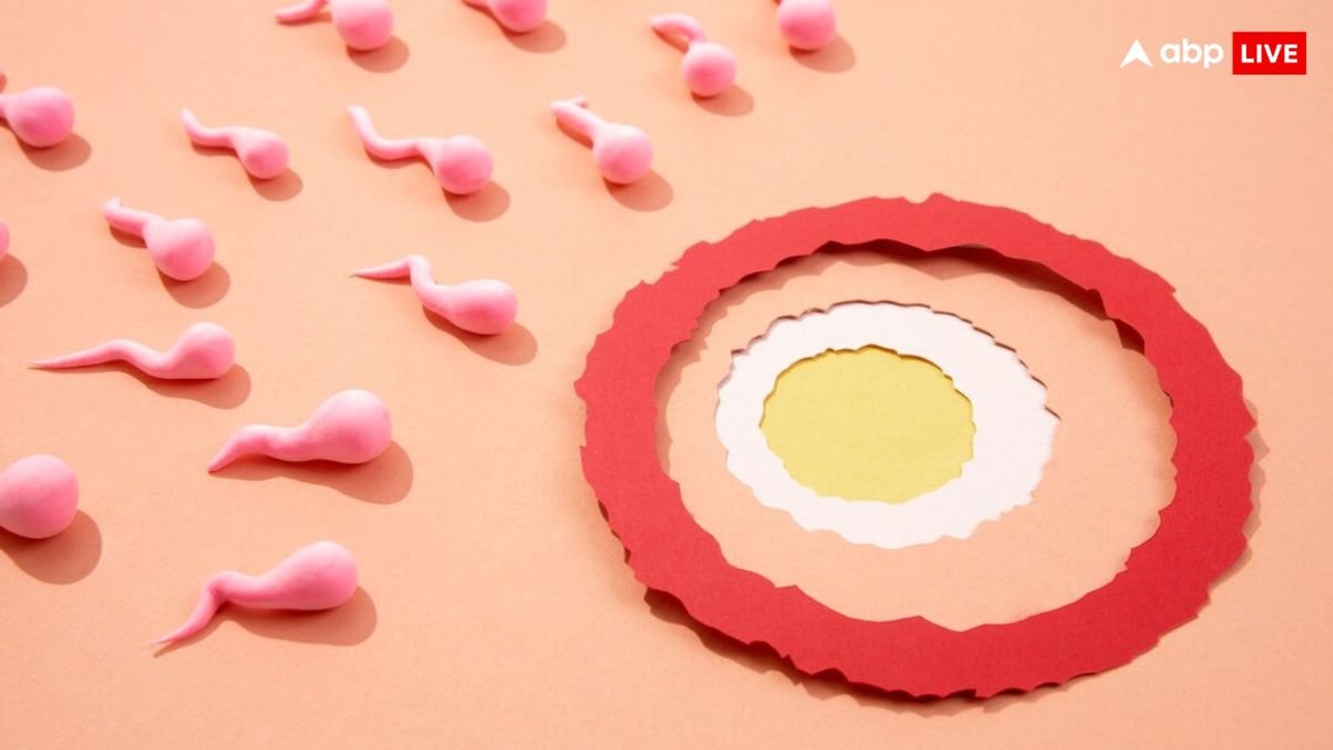 आप भी करवाना चाहते हैं एग या स्पर्म फ्रीज, जानें इसमें कितना खर्चा आता है?