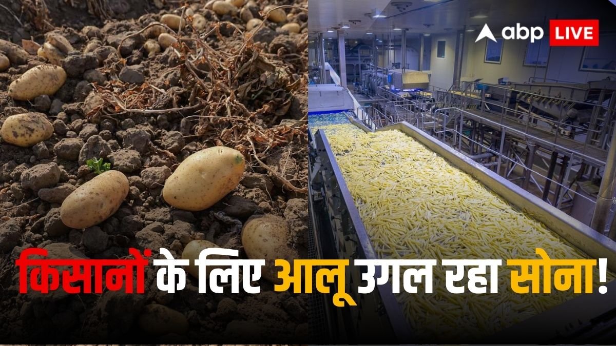 Frozen Food Market: कैसे इस कंपनी की बदौलत फ्रेंच फ्राई के मामले में आयातक से आत्मनिर्भर बन गया भारत!