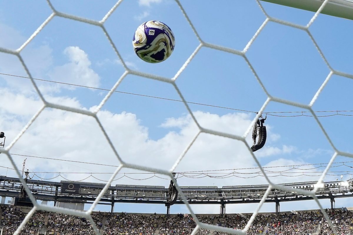 French Football Club To Take Legal Action Against Own Fans: Such Behaviour Is Unacceptable