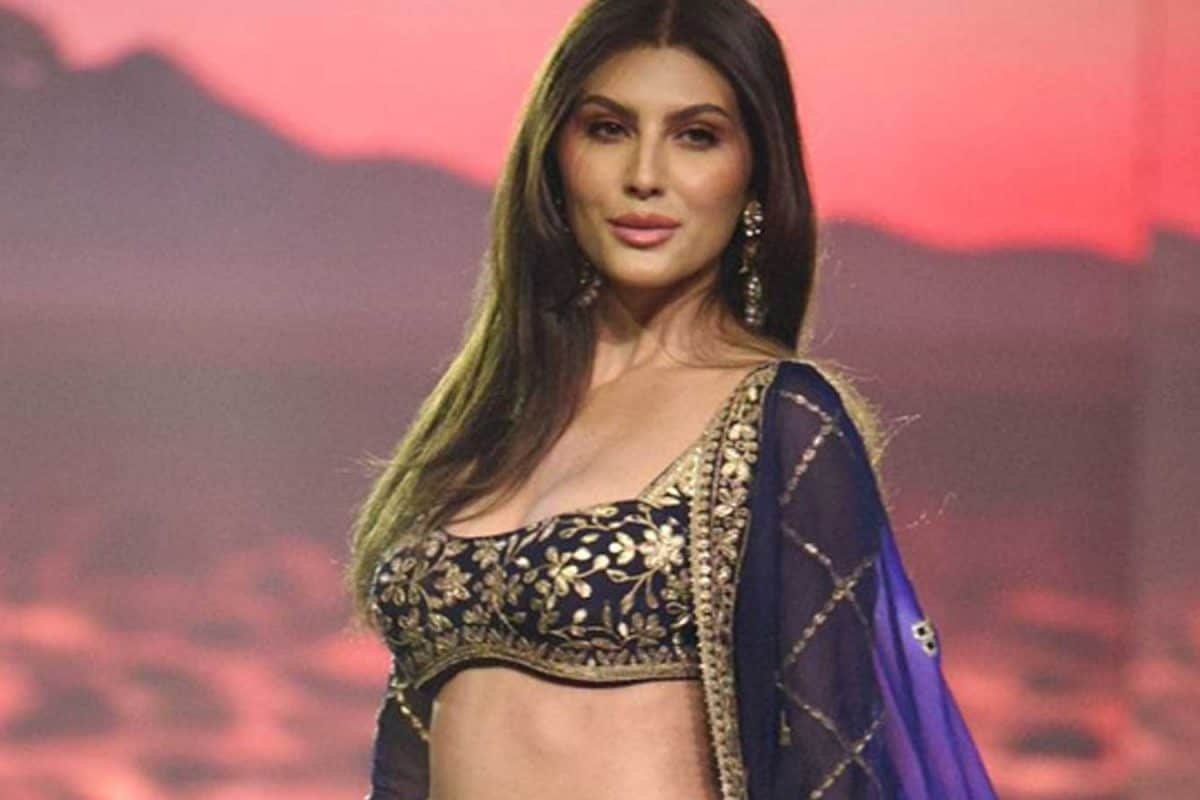 Elnaaz Norouzi Claims Bollywood Prioritises Connections Over Talent, Calls Hollywood More Fair