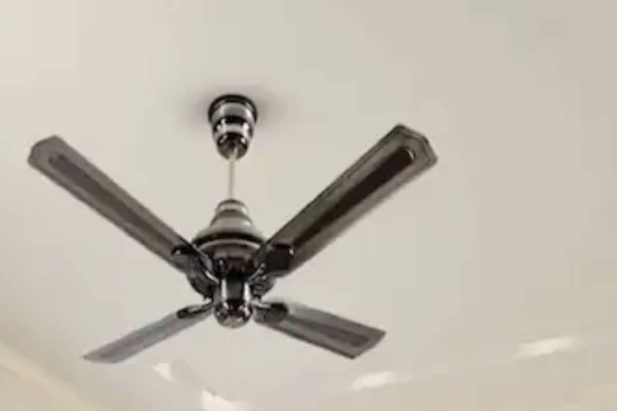 Havells India Surges 4% As Q3 Revenue Rises 11%, Dividend Declared; Should You Invest?