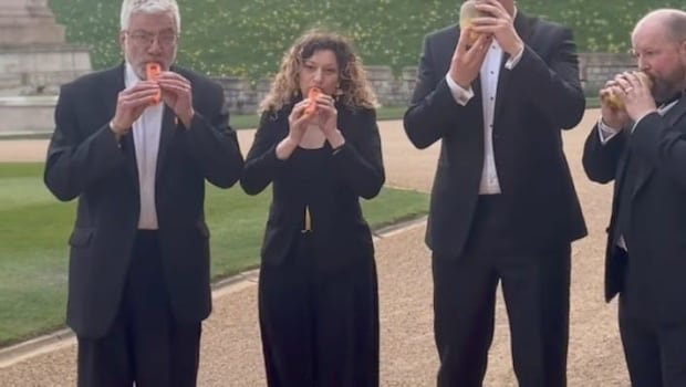 “Love This”: Internet Reacts To Band Playing A Beatles Track With Vegetables