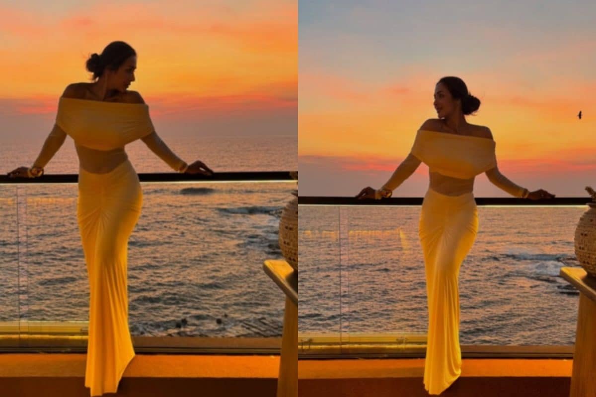 Malaika Arora Looks Stunning In A Body-Hugging Gown As She Shares New Photos, Fans React