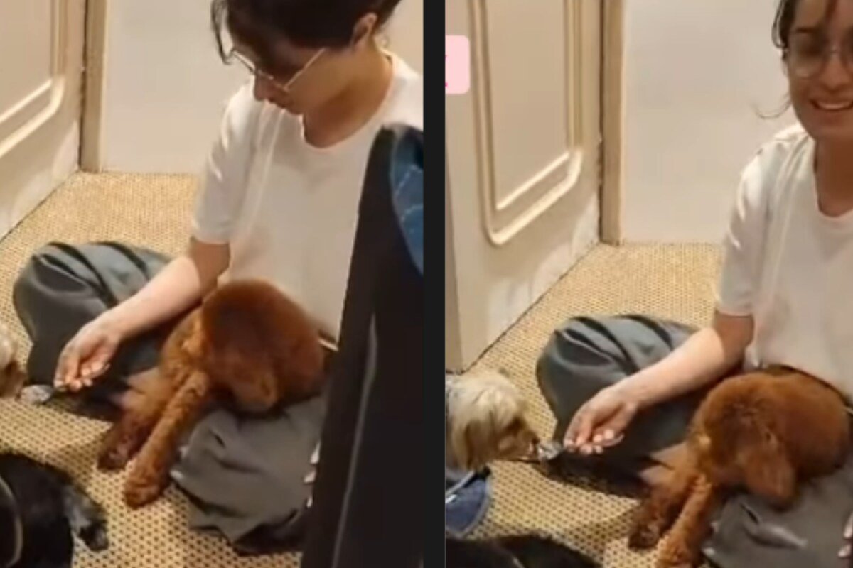 Shraddha Kapoor Marks Pet Shyloh’s 14th Birthday With A Fun-Filled Furry Affair