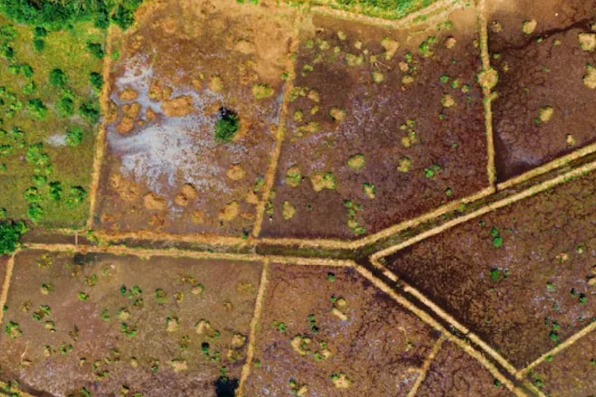 Plot Near Noida Airport For Rs 7.5 Lakh: All You Need To Know About YEIDA Scheme