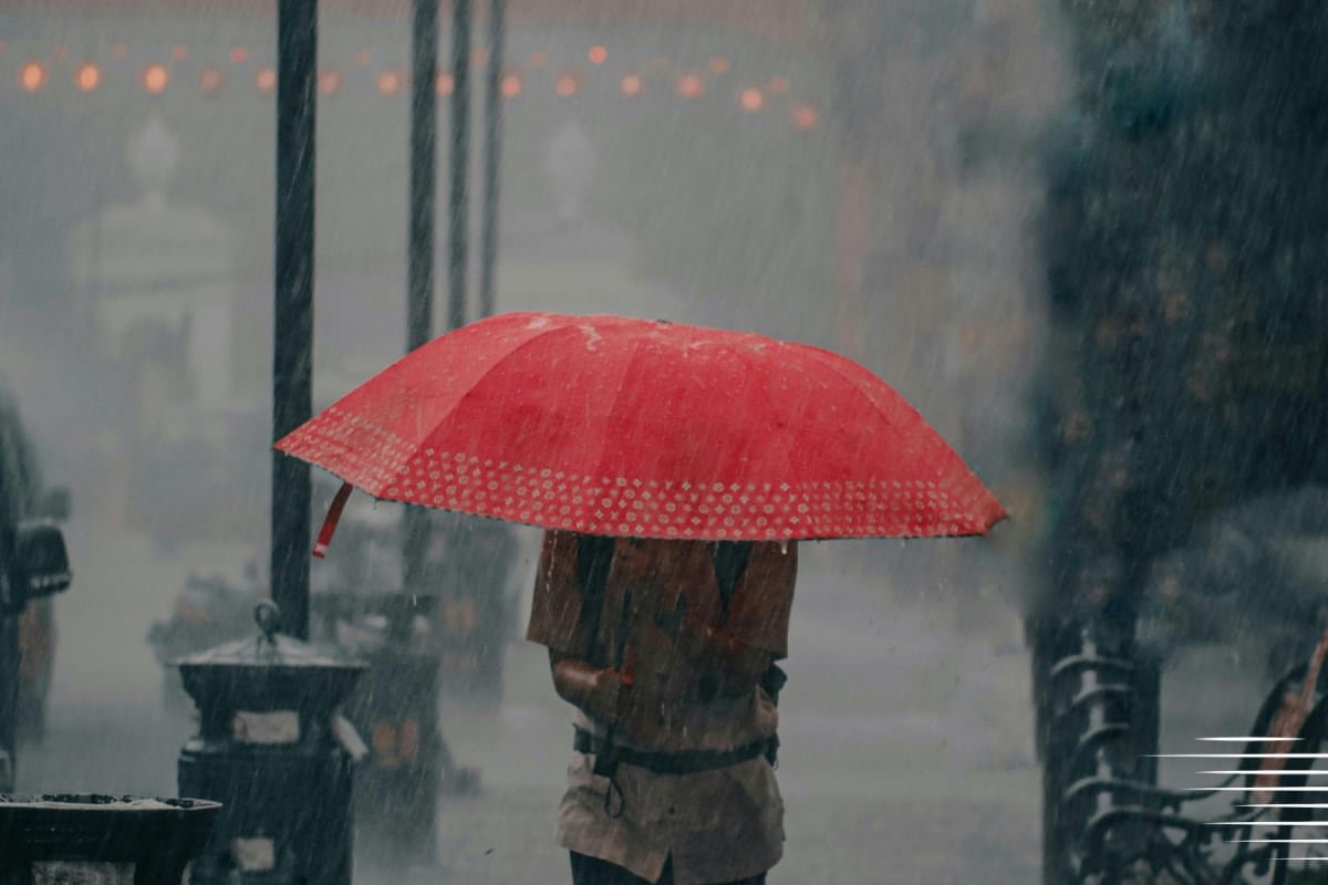 Is Your Health Insurance Ready For The Monsoon? Vector-Borne Illness Coverage Explained