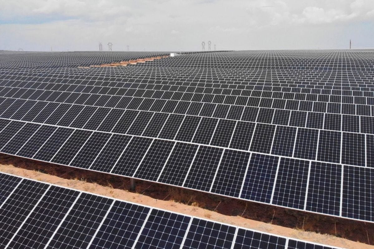 Waaree Renewable Shares Fall 3% After Securing Rs 232 Crore Solar Power Project